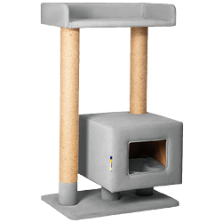 Когтеточки