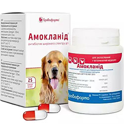 Антибіотики