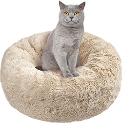 Спальні місця