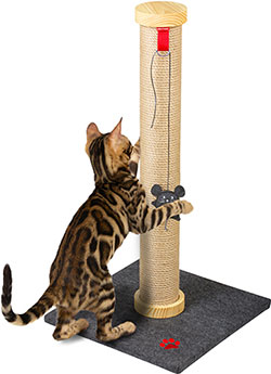 Кігтеточки