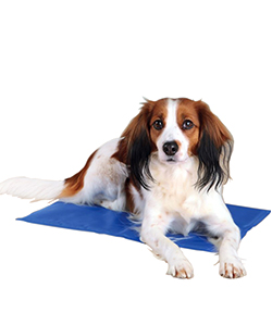 Охолоджувальні підстилки