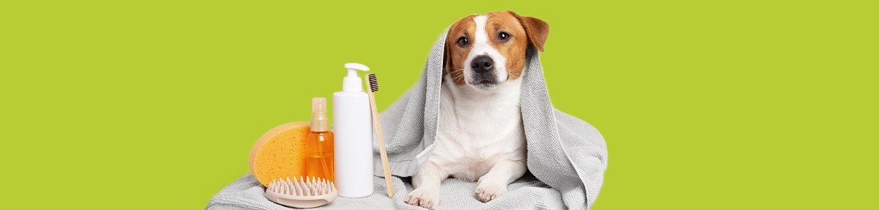 Уход за собакой