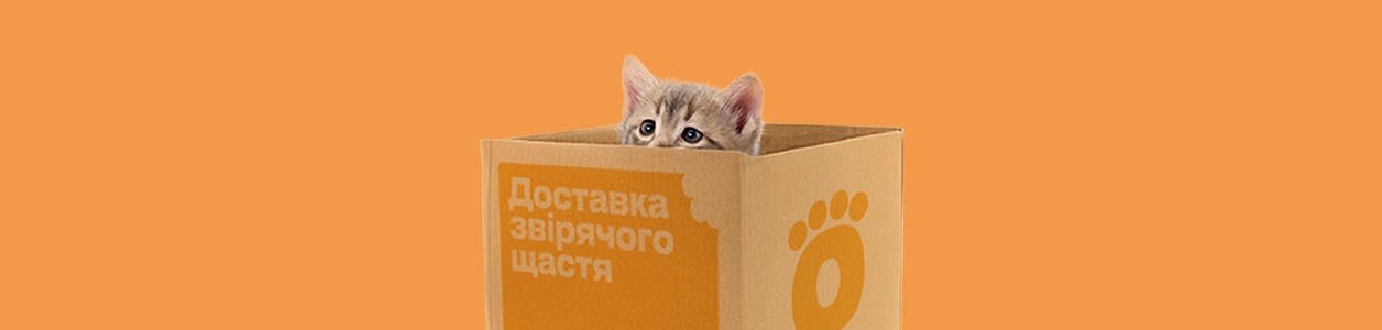 Поведение и воспитание кошек