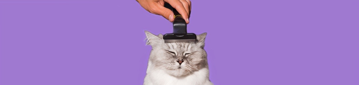 Життєхитрики і лайфхаки з догляду за котами