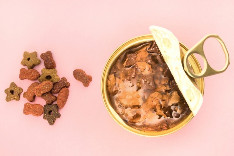 Чи можна змішувати сухий і вологий корм для котів та собак