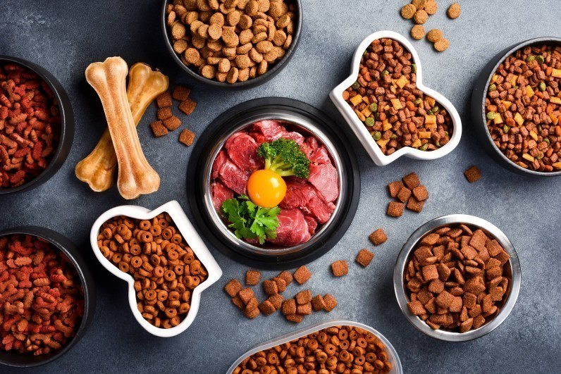 Що означає «дегідратоване» та «свіже» м’ясо у кормі: у чому їхня відмінність