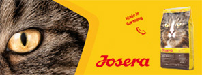 Category banner 3