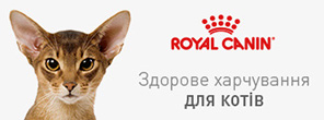 Category banner 1