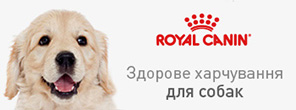 Category banner 1