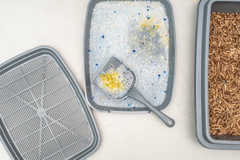 Як вибрати наповнювач для котячого туалету - Фото 2