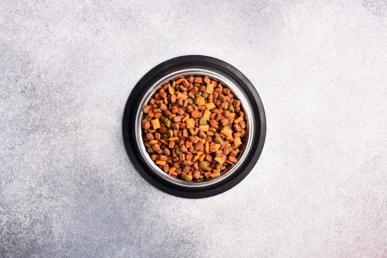 Сухий чи вологий корм для котів та собак: що вибрати - Фото 2