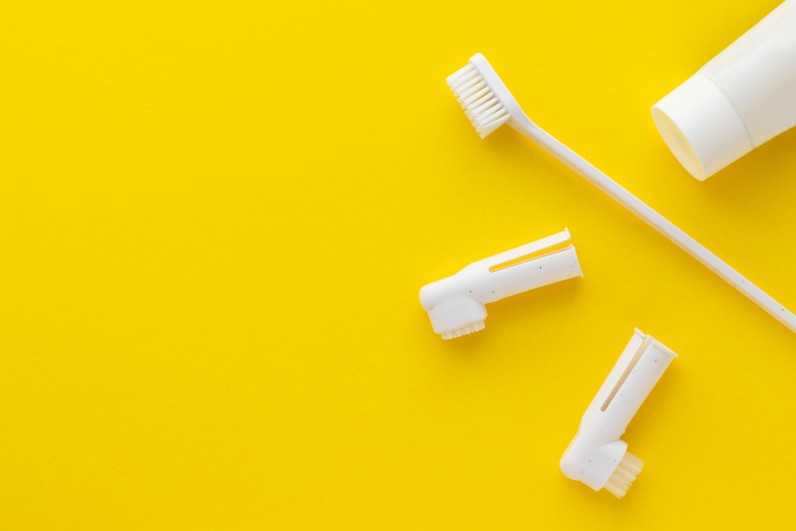 Как чистить зубы питомцам - Фото 2