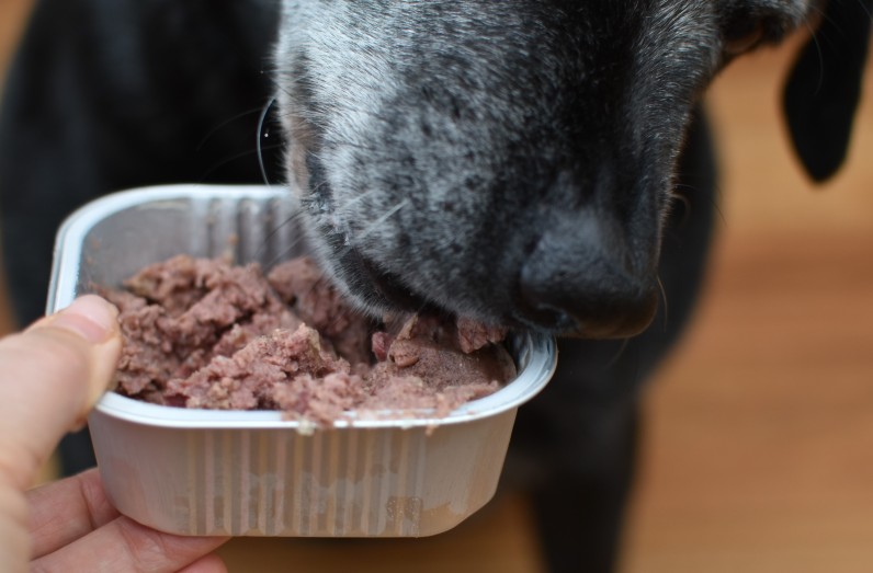 Виды влажных кормов и их особенности - Фото 2